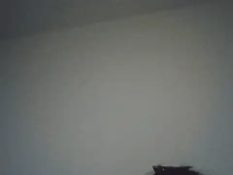 FallenDevil online show from November 16, 2025, 8:14 pm