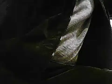 papiculo86 online show from January 29, 2025, 9:33 am