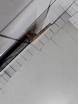 Snapshot of cindy01113520 chatting on October 2, 2025, 2:57 pm cindy01113520 online show from October 2, 2025, 2:57 pm