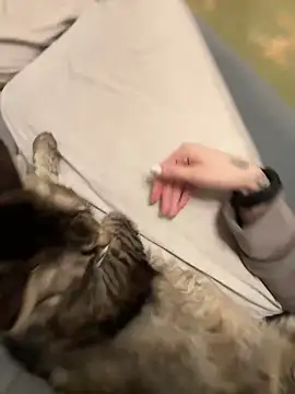 GraceCandy online show from February 17, 2025, 10:14 pm