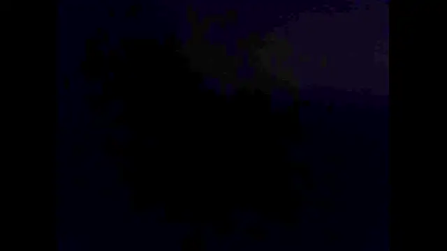 hairyuncut00 online show from November 2, 2025, 6:10 pm