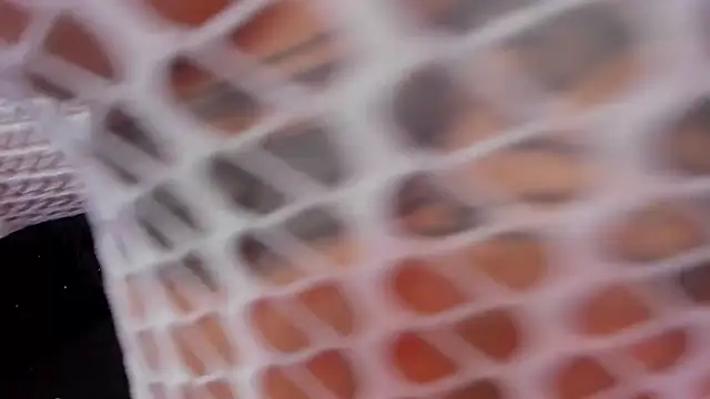 rosalia-04 online show from November 10, 2025, 6:07 pm