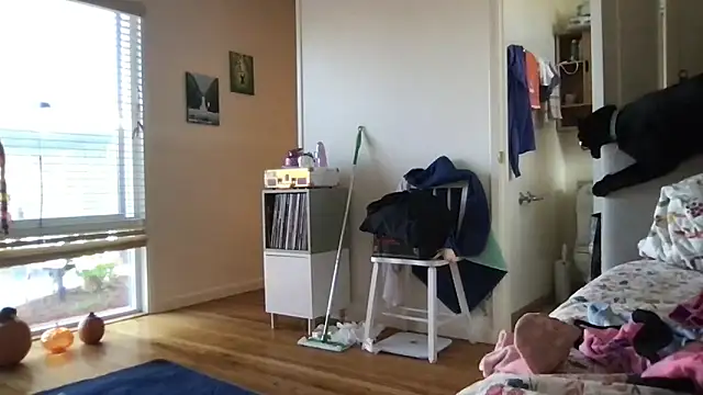 HYPHYtype online show from October 17, 2025, 10:01 pm