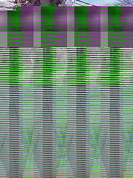 Alicbranca online show from September 17, 2025, 4:41 pm