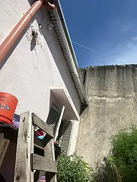 Snapshot of Alicbranca chatting on February 26, 2026, 2:05 pm Alicbranca online show from February 26, 2026, 2:05 pm