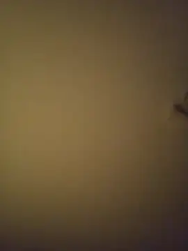 Snapshot of SMOKERBEASTBR chatting on February 8, 2026, 6:17 am SMOKERBEASTBR online show from February 8, 2026, 6:17 am