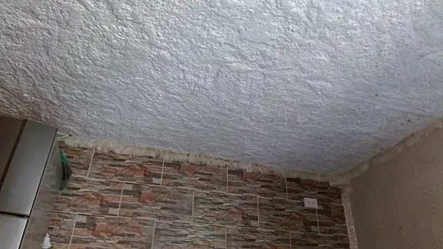 omar alurba online show from February 17, 2026, 6:25 pm