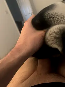 Furdale online show from December 3, 2024, 3:00 pm