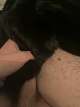 Furdale online show from December 10, 2024, 5:44 pm