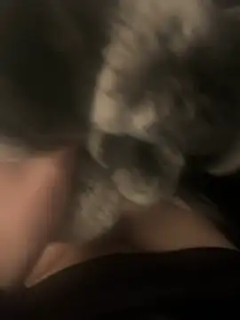 Furdale online show from December 17, 2024, 4:00 pm