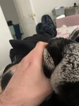 Furdale online show from December 19, 2024, 1:07 pm