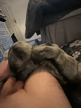 Furdale online show from January 1, 2025, 3:46 pm