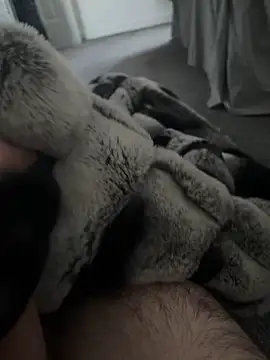 Furdale online show from January 7, 2025, 10:43 am