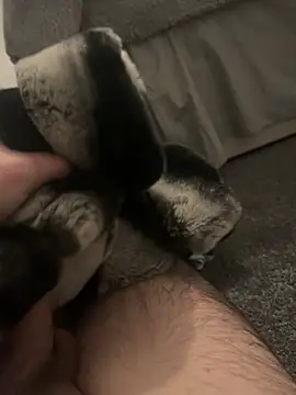 Furdale online show from January 7, 2025, 5:20 pm