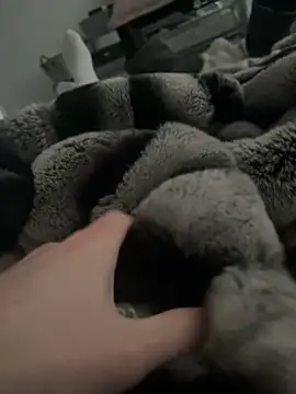 Furdale online show from January 9, 2025, 2:51 pm