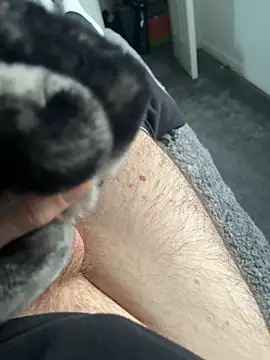 Furdale online show from January 16, 2025, 2:08 pm