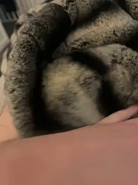 Furdale online show from February 17, 2025, 3:09 pm