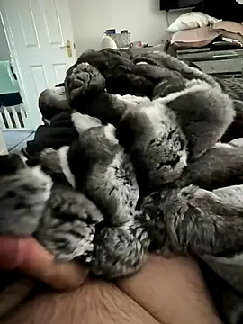 Furdale online show from November 15, 2025, 1:29 pm