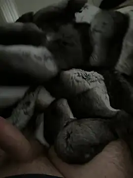 Furdale online show from January 14, 2026, 2:44 pm