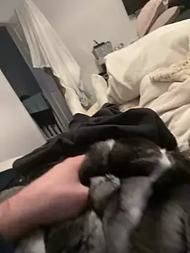 Furdale online show from February 4, 2026, 4:35 pm