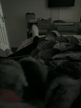 Furdale online show from February 11, 2026, 3:39 pm