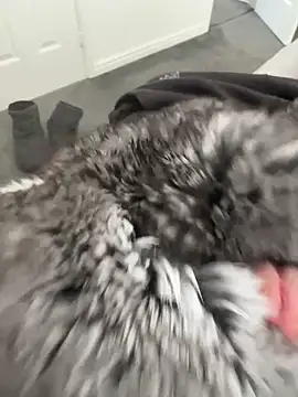 Furdale online show from April 16, 2026, 12:17 pm