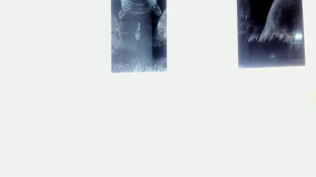 Snapshot of AlexRivera6 chatting on March 17, 2025, 11:43 pm AlexRivera6 online show from March 17, 2025, 11:43 pm