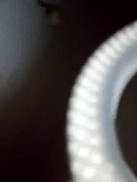 rodovlaz online show from February 19, 2025, 12:35 am