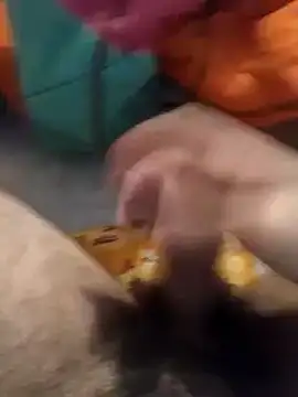 jon763 online show from January 10, 2025, 2:45 pm