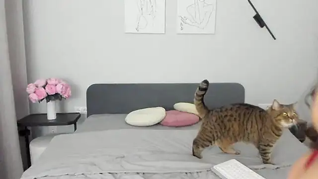 miss emily  online show from April 19, 2026, 10:45 pm