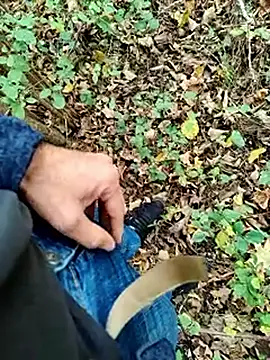 Boring one online show from October 15, 2025, 1:11 pm