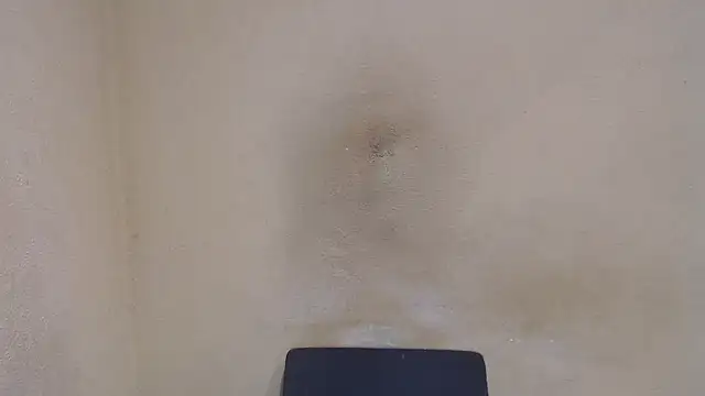 AlexNudo online show from January 14, 2025, 8:41 am