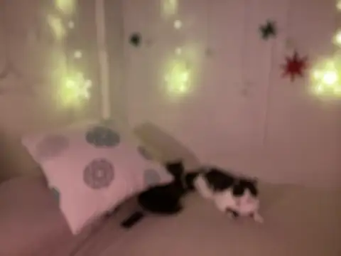 Im sophiie online show from December 19, 2024, 8:45 am