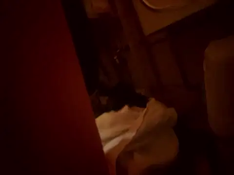 Dannadcz online show from March 24, 2026, 8:25 pm