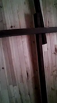 Snapshot of davigochi77bcn chatting on March 6, 2025, 11:20 pm davigochi77bcn online show from March 6, 2025, 11:20 pm