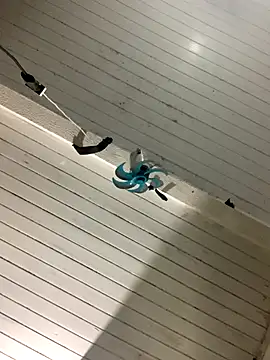 raphadoors19 online show from December 17, 2025, 4:07 am