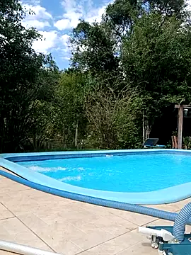 dutra498 online show from April 6, 2026, 4:08 pm