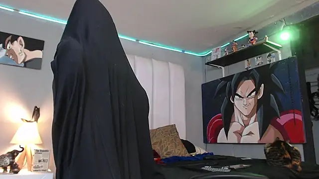 bardock 1 online show from February 13, 2025, 3:50 am