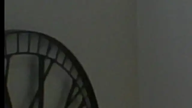 scorviergexh online show from December 28, 2024, 2:10 pm