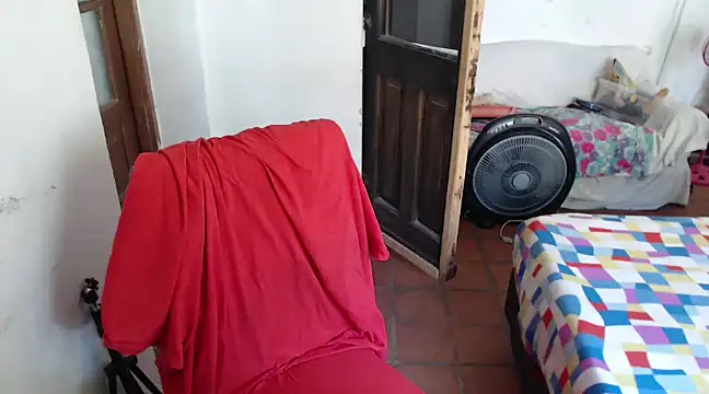 deftoolceles online show from December 8, 2024, 3:13 pm