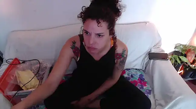 deftoolceles online show from December 13, 2024, 9:41 pm