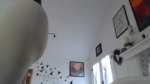 AuroraWillows online show from January 19, 2026, 3:16 pm