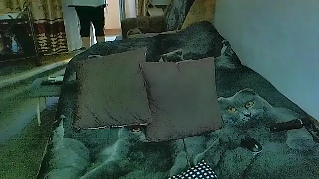 sex2 online show from November 17, 2025, 7:36 am