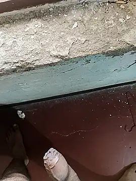 Snapshot of MalluBoyForGirls chatting on February 20, 2025, 8:17 am MalluBoyForGirls online show from February 20, 2025, 8:17 am