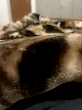 Snapshot of bigshow112 chatting on November 13, 2025, 4:22 am bigshow112 online show from November 13, 2025, 4:22 am