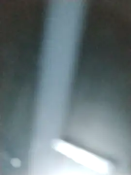 Yankeedave420 online show from February 6, 2026, 1:47 pm