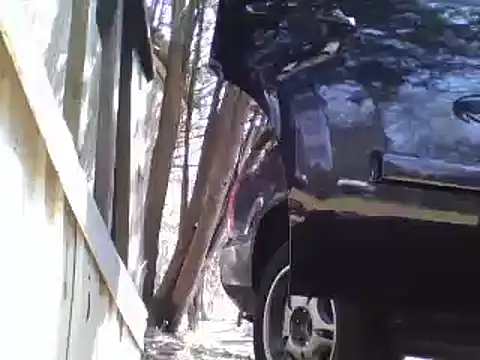 Yankeedave420 online show from April 13, 2026, 5:51 pm