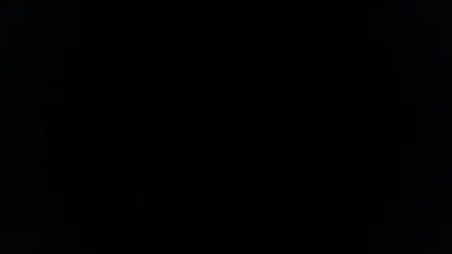 palidin1 online show from November 26, 2025, 1:17 am