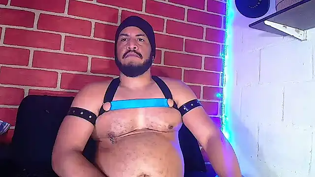 the master foal  online show from January 8, 2025, 4:11 pm