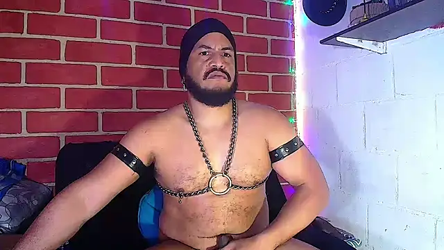 the master foal  online show from January 14, 2025, 2:00 pm